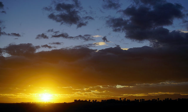 Abend, vorgestern ~ die Sonne geht hinter Palmenhainen unte