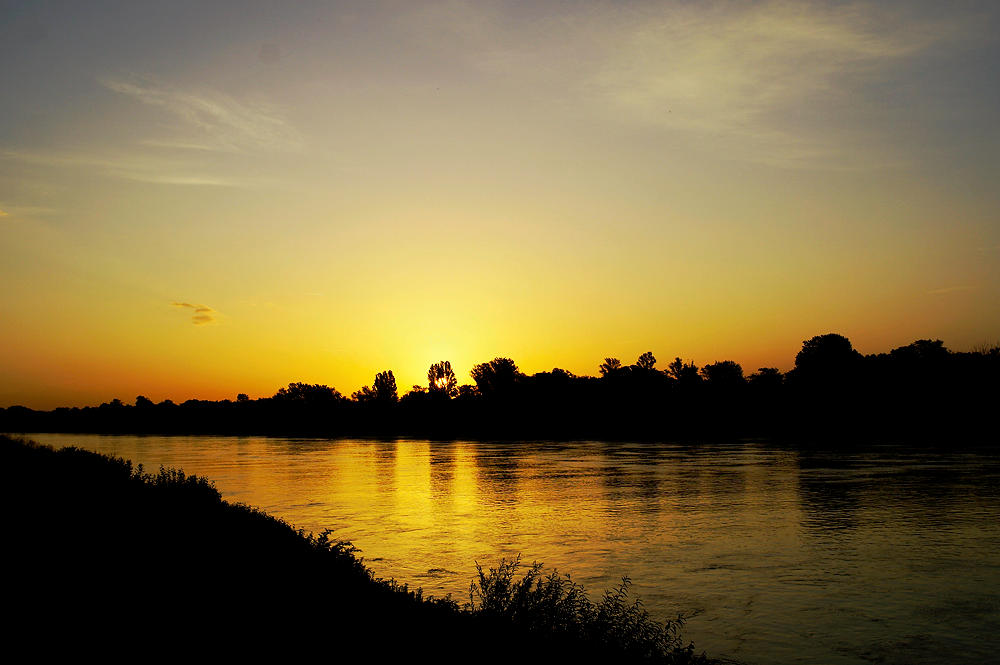 Morgenstimmung in gold am Rhein