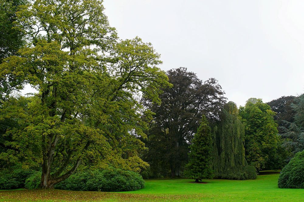 Villa Hügel ~ Park mit altem Baumbestand