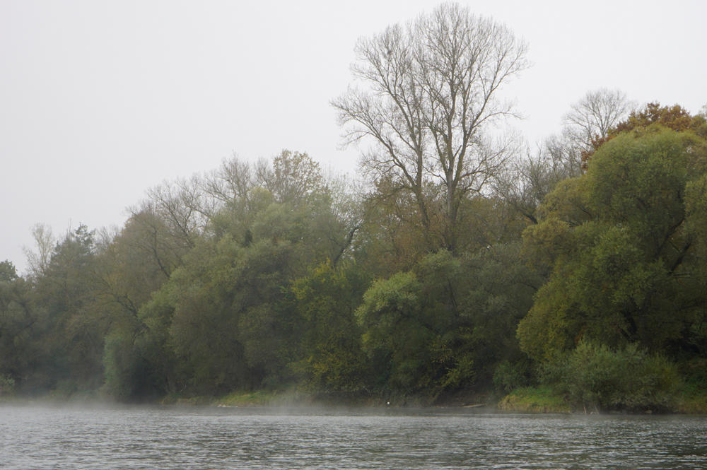 Rhein am Morgen im Herbst ~ trüb, grau, Temperatur nahe 0°C
