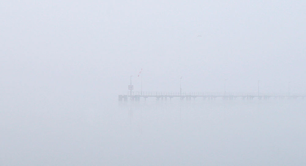Nebel über der Donau